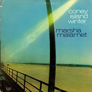 Coney island winter